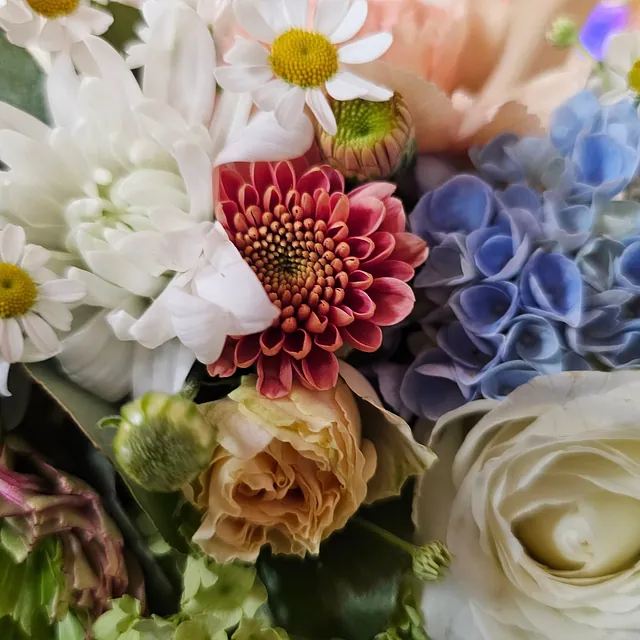 Blomsterbukett i lyse toner med hvite margeritter, blå hortensia, kremroser og krysantemum.