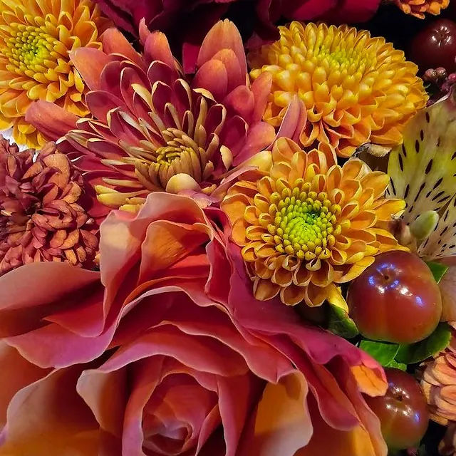 Nærbilde av blomsteroppsats med oransje krysantemum, rød rose og grønne bær.